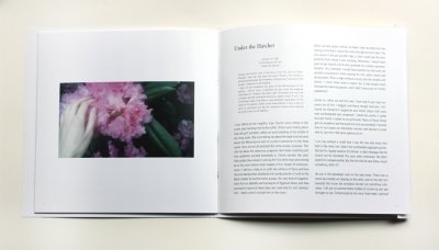 ida-book-large-400x228-q85